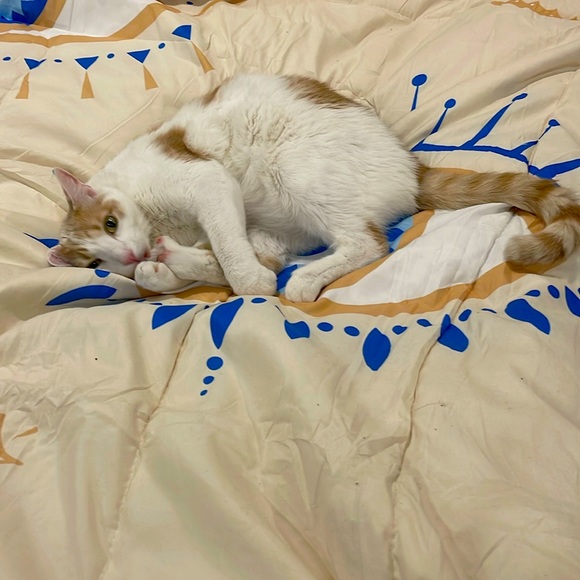 🫵🏼ALL DAY GIVEAWAY GIFTS 🎁 ToDaY during live - Picture 1 of 2